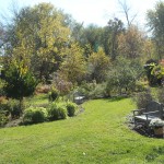 October 21, 2013. The creek is beyond the trees on the upper left.