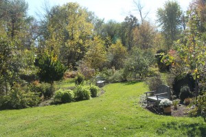 October 21, 2013. The creek is beyond the trees on the upper left.